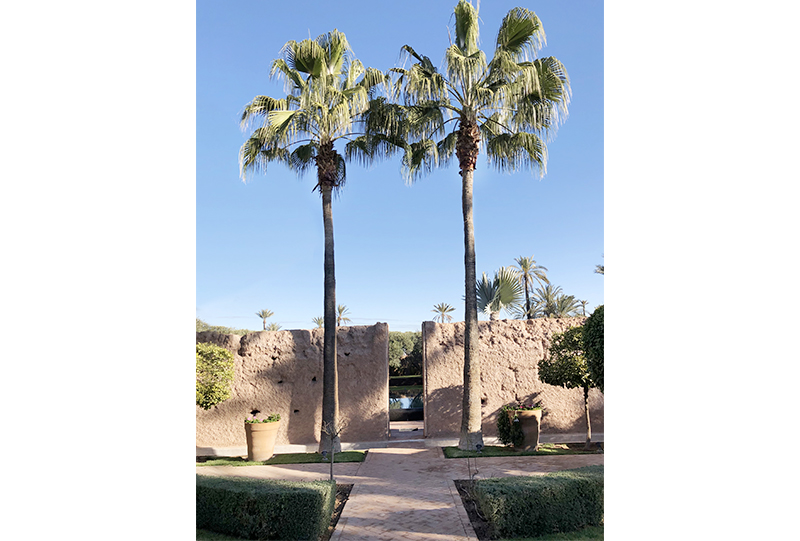 villa-prive-marrakech9